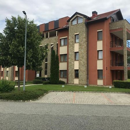 Lili Apartman Birdland Buekfuerdo Esterno foto